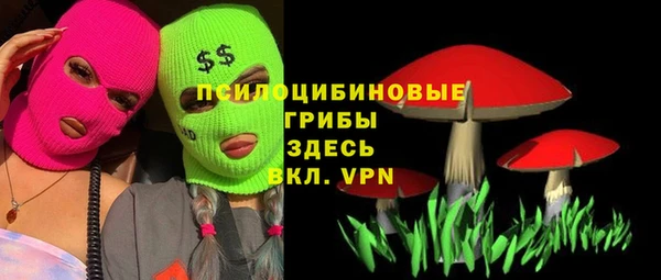 прущий лед Медвежьегорск