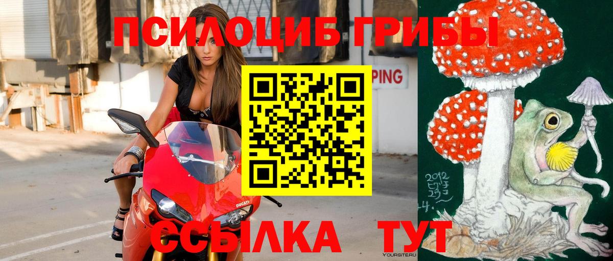 Галлюциногенные грибы Psilocybe  Галлюциногенные грибы Psilocybe  Нижневартовск  Вход с VPN 
