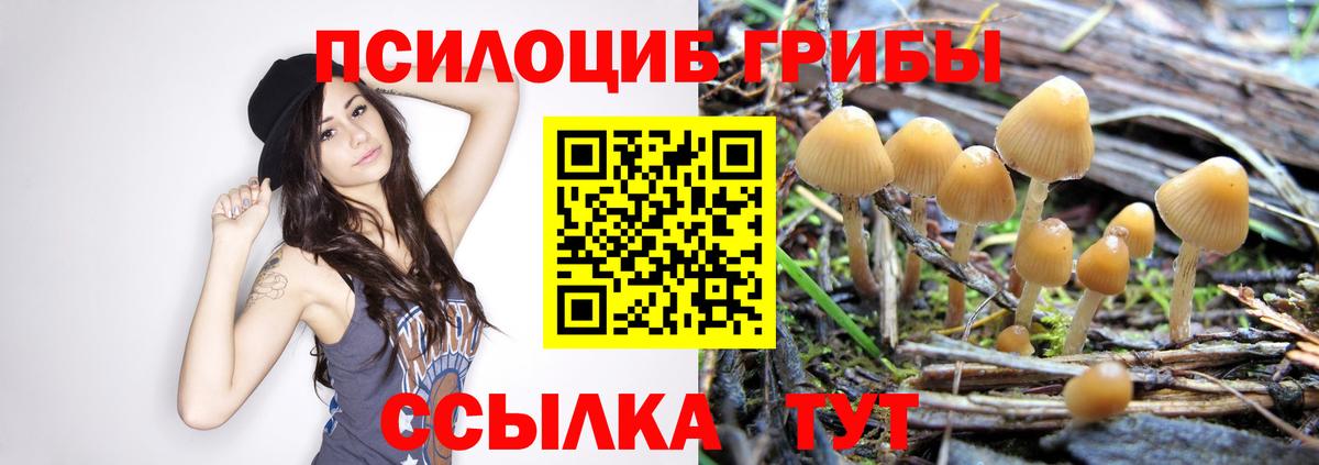 Галлюциногенные грибы MAGIC MUSHROOMS Нижневартовск